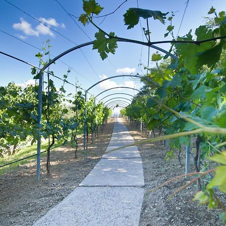 Agriturismo Il Vecchio Mandorlo 페루자 외부 사진