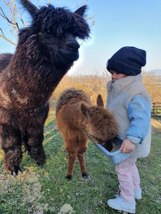 Agriturismo Il Vecchio Mandorlo 페루자 외부 사진
